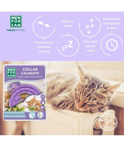 Embalagem de colar calmante MENFORSAN roxo ao lado de gato tigrado adormecido