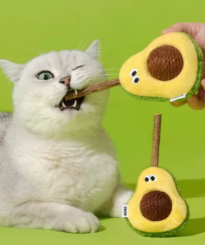 Gato cinzento com brinquedo de pelúcia em forma de abacate amarelo e verde