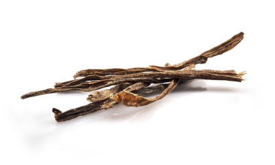 Tiras finas de casca seca castanha escura sobre fundo branco