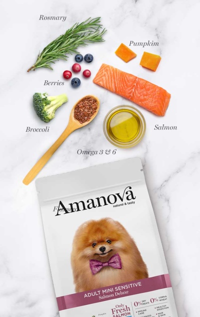 Pacote Amanova Salmon Deluxe para cães com ingredientes frescos ao redor
