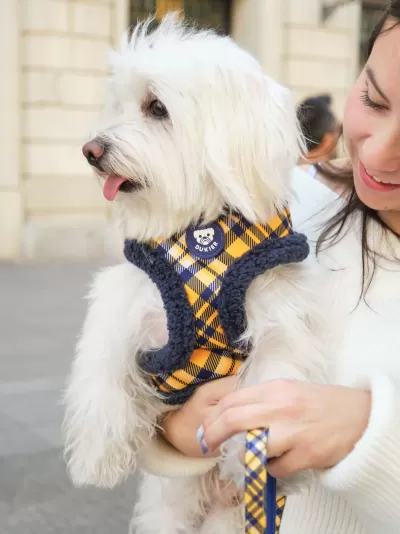 Colete para cão amarelo e azul com bordas felpudas e etiqueta DUKIER