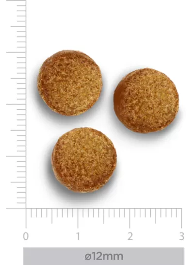 Três comprimidos redondos castanhos com 12 mm de diâmetro sobre escala métrica