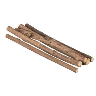 Cinco pedaços de madeira natural sobre fundo branco