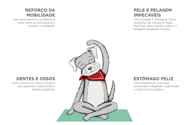 Desenho de um cão cinzento com bandana vermelha sentado numa manta verde com texto em português sobre benefícios de suplemento para animais