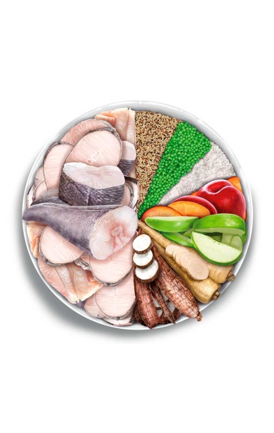 Tigela branca com peixe, grãos, legumes e fruta cortada em secções