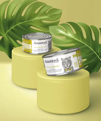 Latas Amanová Tuna & Shrimps sobre suportes amarelos com folhas verdes ao fundo