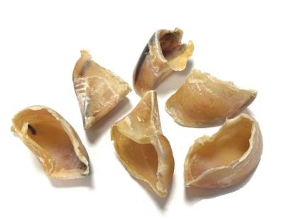Seis cascos secos castanhos claros sobre fundo branco