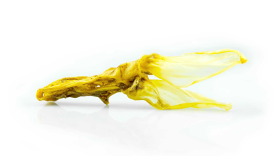 Pedaço de comida vegetal fermentada amarela sobre fundo branco