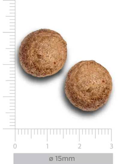 dois comprimidos marrons redondos com régua de medição ao redor