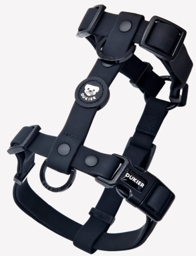 Peitoral negro para cão com fecho e etiquetas DUKIER
