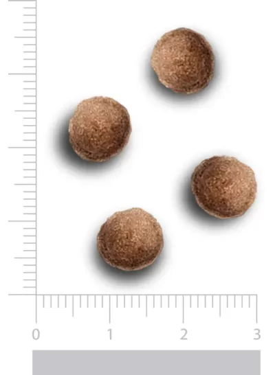 Quatro bolinhas castanhas rugosas com régua ao lado para escala