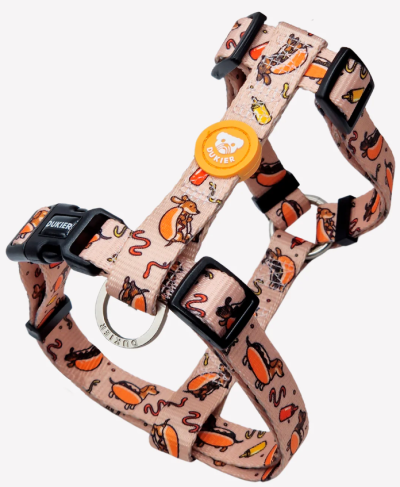 Arnês bege para cão com padrão colorido e etiqueta laranja QUIKIER