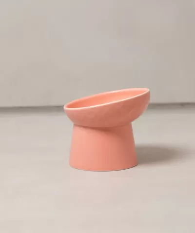 Tigela inclinada cor-de-rosa de cerâmica com textura