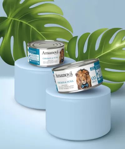 Duas latas de comida para cães Amanová Chicken & Tuna sobre suportes azuis com folhas verdes ao fundo