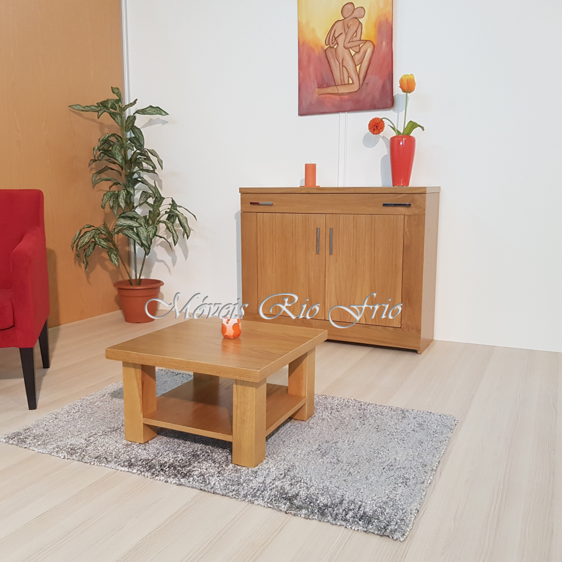 Conjunto de móveis de madeira clara com mesa de centro e armário, decorado com planta, vaso de flores e tapete cinza