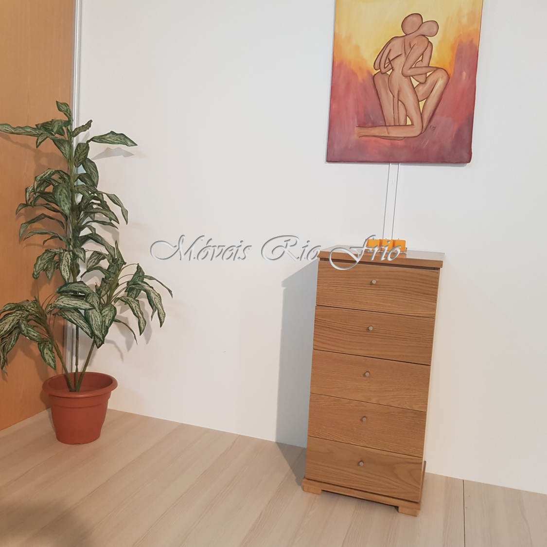 Móvel de madeira com gavetas, planta em vaso e quadro abstrato na parede