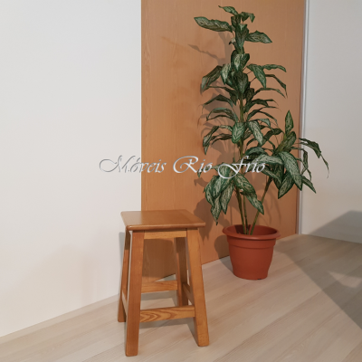 Banco de madeira clara ao lado de planta verde em vaso castanho sobre chão de madeira clara