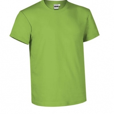 T-shirt verde claro de manga curta com gola redonda