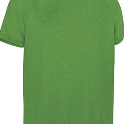 Camiseta verde manga curta com gola redonda