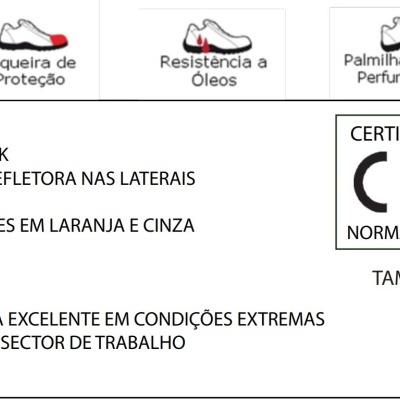 Etiqueta informativa de sapato de proteção com texto em português e ícones