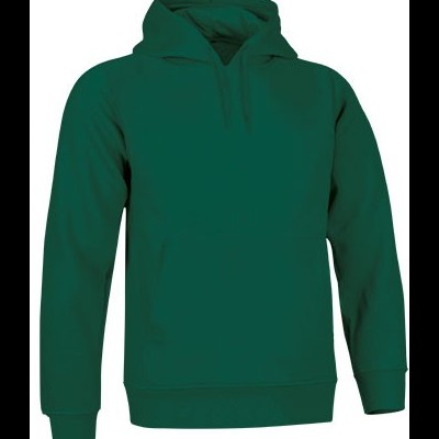 Sweatshirt com capuz verde escuro