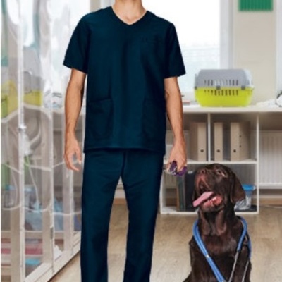 Homem com uniforme médico azul e cão castanho com estetoscópio numa sala clara