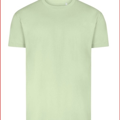 T-shirt verde claro lisa com gola redonda
