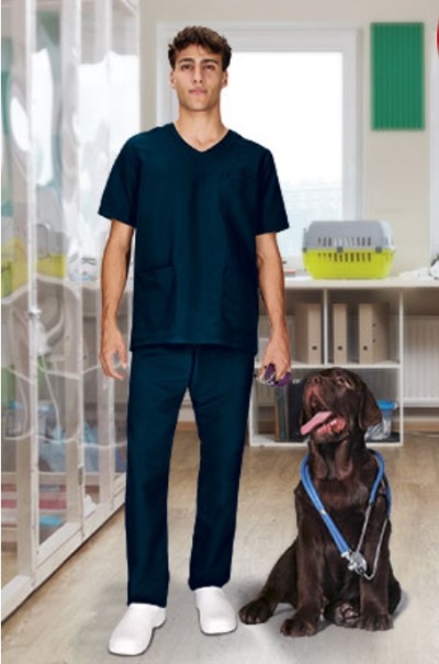 Homem com uniforme médico azul e cão castanho com estetoscópio numa sala clara