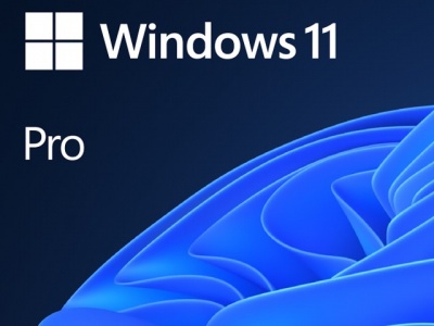 https://www.msysinformatica.pt/product/windows-11-pro