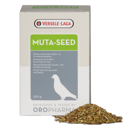 Embalagem branco e cinzenta de sementes MUTA-SEED da Versele-Laga com uma pilha de sementes ao lado