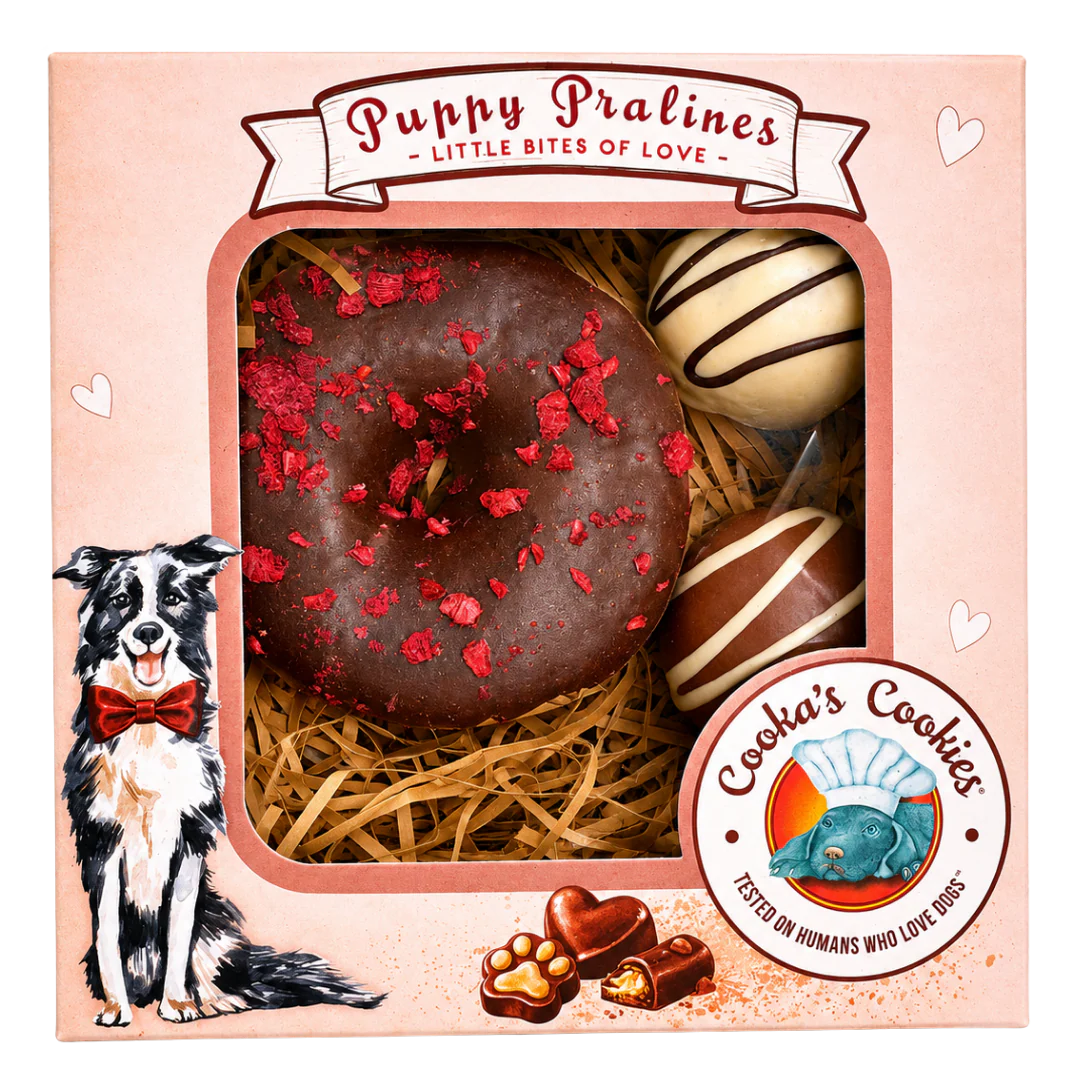 Conjunto de chocolates Puppy Pralines com donut e trufas em embalagem rosa com ilustração de cão