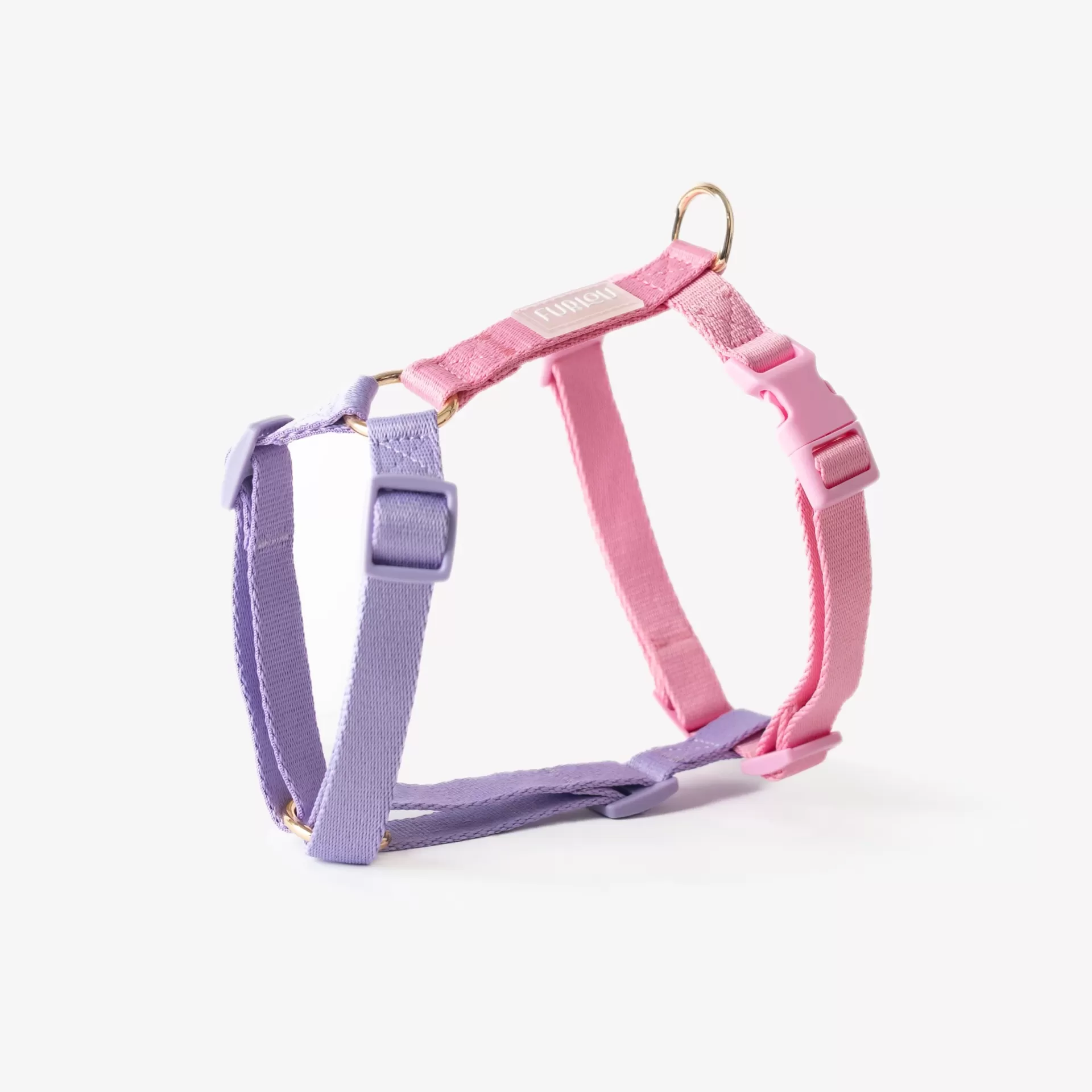 Trela peitoral rosa e lilás com argolas douradas e fivela cor-de-rosa