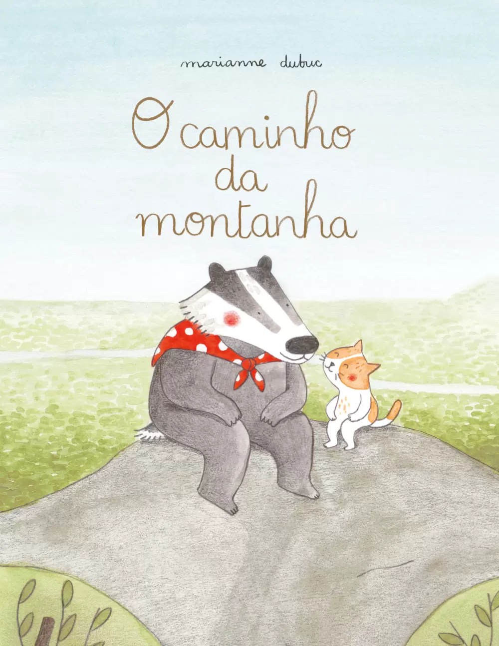 Livro infantil com ilustração de texugo e gato sentados numa pedra e texto do título