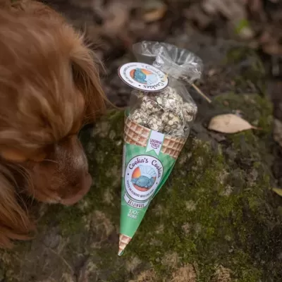 Beijinhos&#x20;de&#x20;Sardinha&#x20;e&#x20;Porco&#x20;p&#x2F;&#x20;C&#x00E3;o