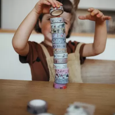 Fita&#x20;Washi&#x20;&#x7C;&#x20;Animais&#x20;Dom&#x00E9;sticos