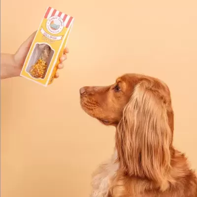 Lollipop&#x20;p&#x2F;&#x20;C&#x00E3;o