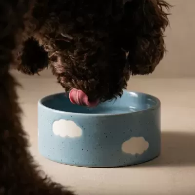 Comedouro azul de cerâmica com nuvens brancas e cão castanho a beber