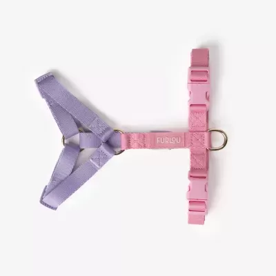 Arn&#x00EA;s&#x20;p&#x2F;&#x20;C&#x00E3;o&#x20;&#x7C;&#x20;Lavanda&#x20;&amp;&#x20;Rosa