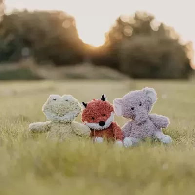 Peluche&#x20;&#x7C;&#x20;Sapo