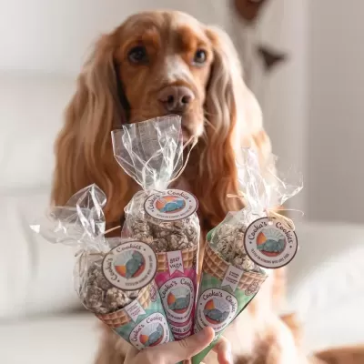 Beijinhos&#x20;de&#x20;Sardinha&#x20;e&#x20;Porco&#x20;p&#x2F;&#x20;C&#x00E3;o