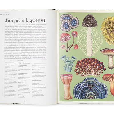 Botanicum