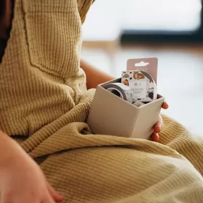Fita&#x20;Washi&#x20;&#x7C;&#x20;Animais&#x20;Dom&#x00E9;sticos