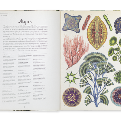 Botanicum
