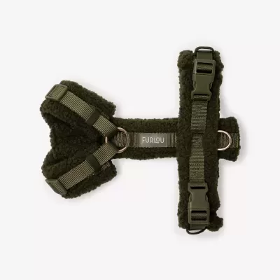 Arn&#x00EA;s&#x20;p&#x2F;&#x20;C&#x00E3;o&#x20;&#x7C;&#x20;Moss&#x20;Green