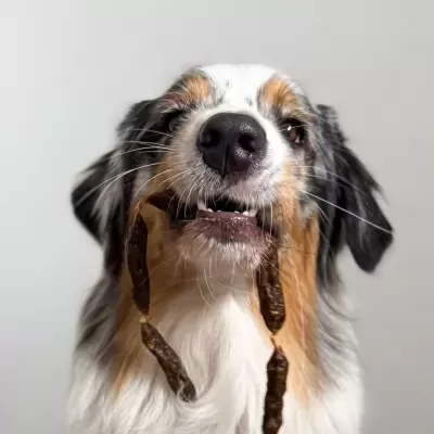Salsichas&#x20;de&#x20;Peru&#x20;p&#x2F;&#x20;C&#x00E3;o