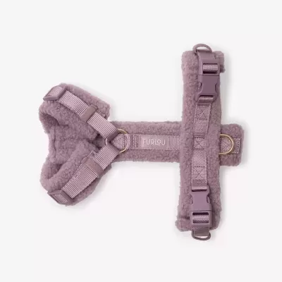 Arn&#x00EA;s&#x20;p&#x2F;&#x20;C&#x00E3;o&#x20;&#x7C;&#x20;Lilac