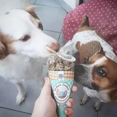 Beijinhos&#x20;de&#x20;Atum&#x20;e&#x20;Frango&#x20;p&#x2F;&#x20;C&#x00E3;o