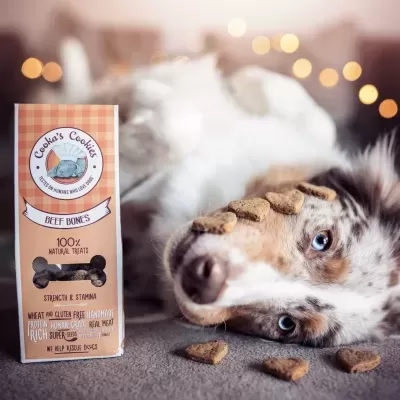 Biscoitos&#x20;de&#x20;Vaca&#x20;p&#x2F;&#x20;C&#x00E3;o