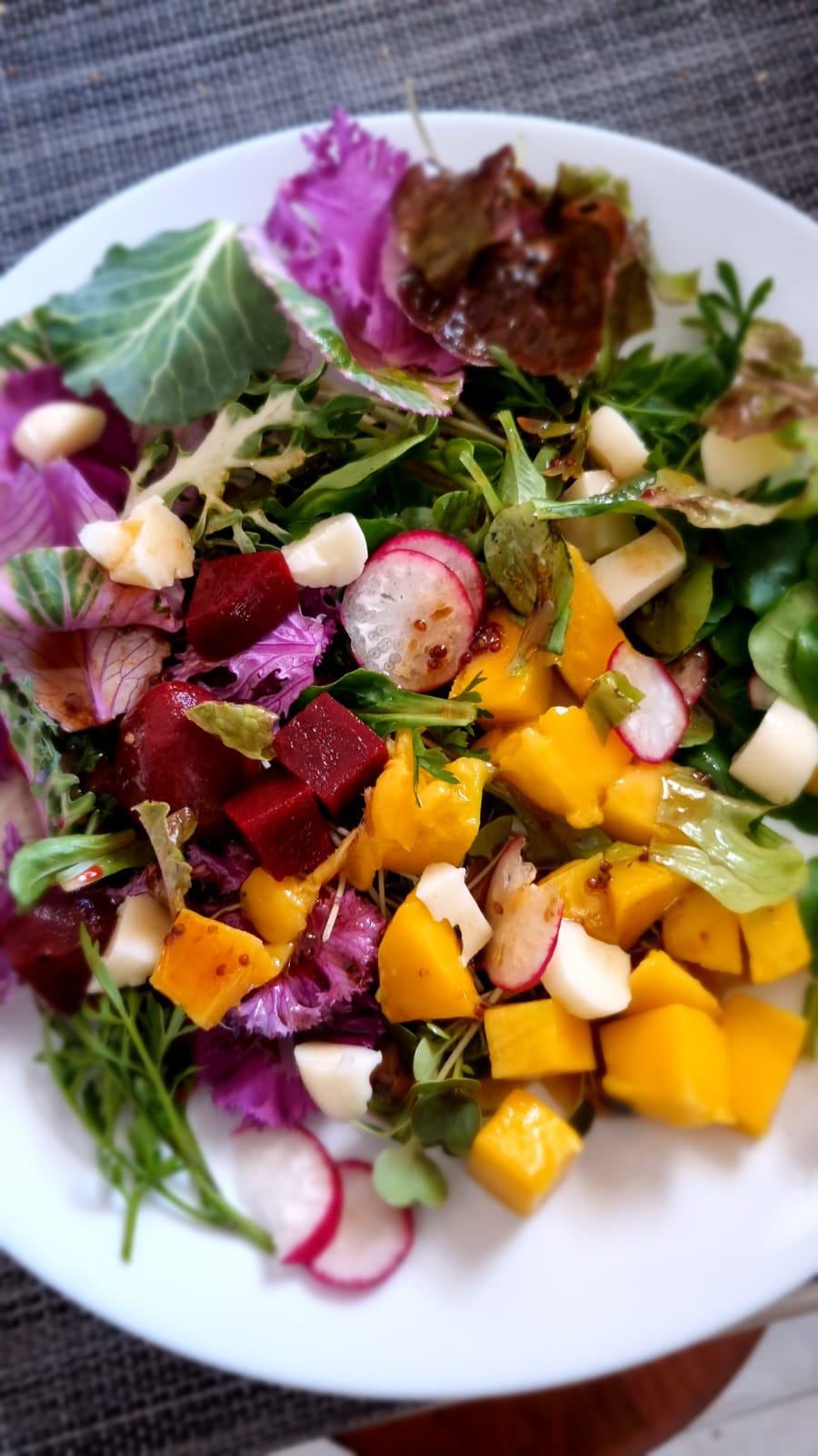 Salada colorida em prato branco com folhas verdes, alface roxa, beterraba, manga e rabanete.