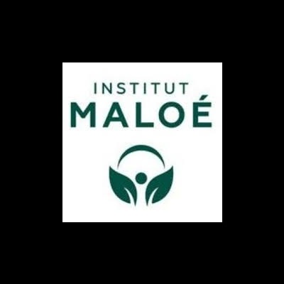 Logotipo do Instituto Maloé com figura humana estilizada e folhas verdes.